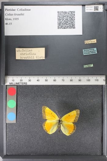 Media type: image;   Entomology 119655